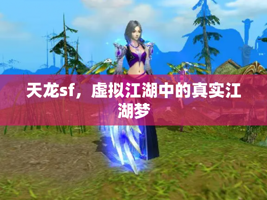 天龙sf，虚拟江湖中的真实江湖梦