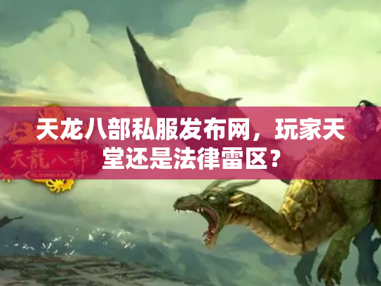 天龙八部私服发布网，玩家天堂还是法律雷区？