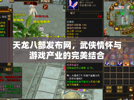 天龙八部发布网，武侠情怀与游戏产业的完美结合