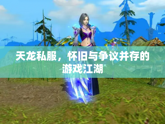 天龙私服，怀旧与争议并存的游戏江湖