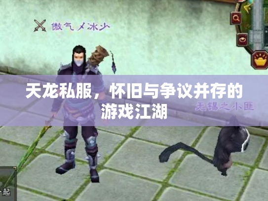 天龙私服，怀旧与争议并存的游戏江湖