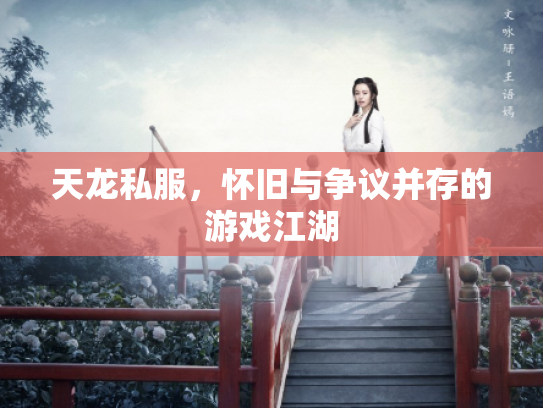 天龙私服，怀旧与争议并存的游戏江湖