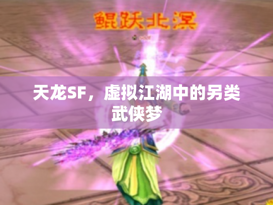 天龙SF，虚拟江湖中的另类武侠梦