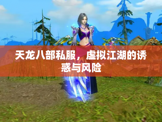 天龙八部私服，虚拟江湖的诱惑与风险