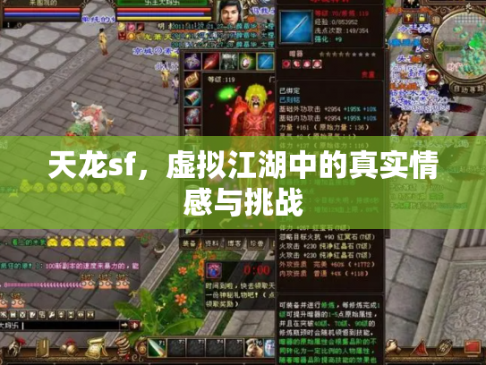 天龙sf，虚拟江湖中的真实情感与挑战