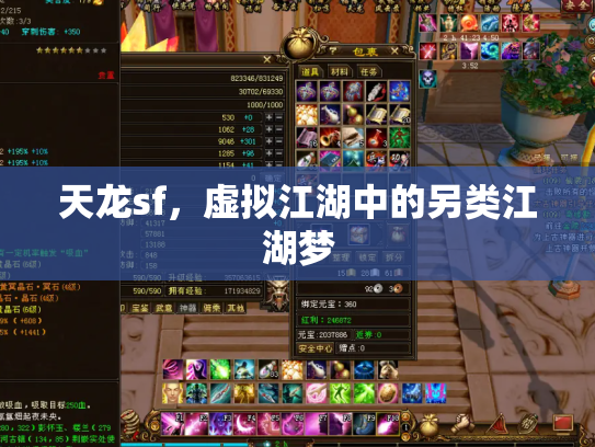 天龙sf，虚拟江湖中的另类江湖梦