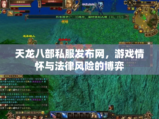 天龙八部私服发布网，游戏情怀与法律风险的博弈