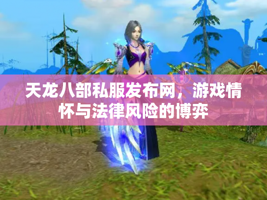 天龙八部私服发布网，游戏情怀与法律风险的博弈