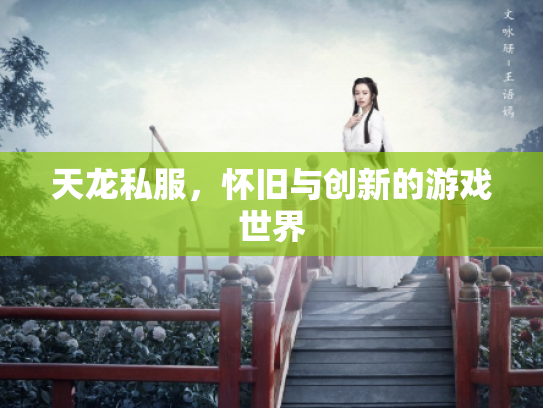 天龙私服，怀旧与创新的游戏世界