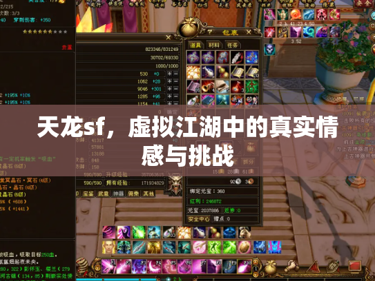 天龙sf，虚拟江湖中的真实情感与挑战