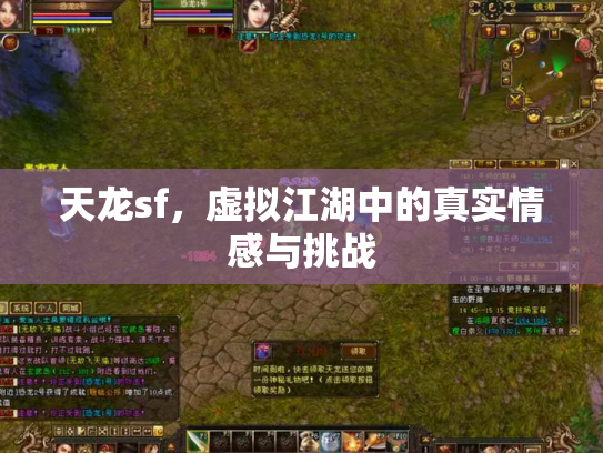 天龙sf，虚拟江湖中的真实情感与挑战
