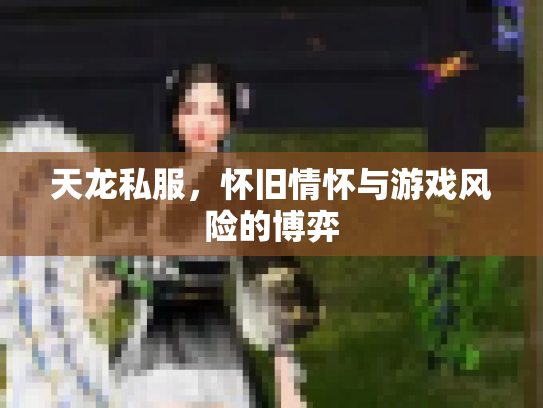 天龙私服，怀旧情怀与游戏风险的博弈