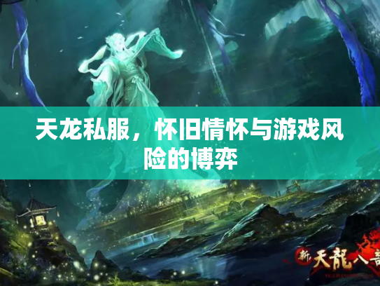 天龙私服，怀旧情怀与游戏风险的博弈