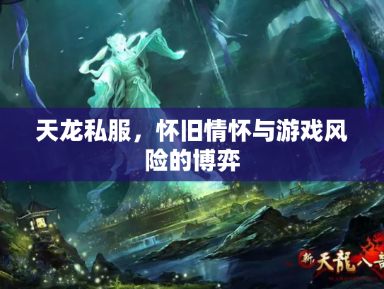 天龙私服，怀旧情怀与游戏风险的博弈