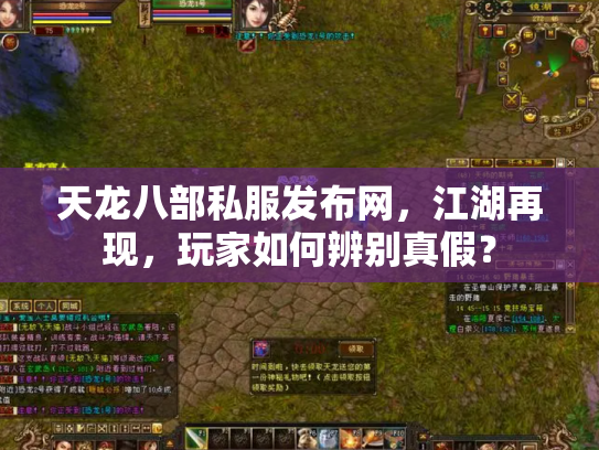 天龙八部私服发布网，江湖再现，玩家如何辨别真假？