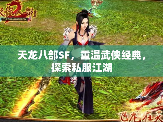 天龙八部SF，重温武侠经典，探索私服江湖