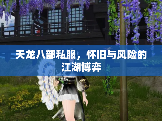 天龙八部私服，怀旧与风险的江湖博弈