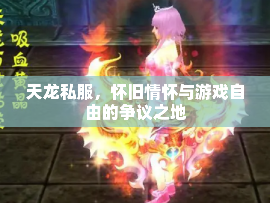 天龙私服，怀旧情怀与游戏自由的争议之地