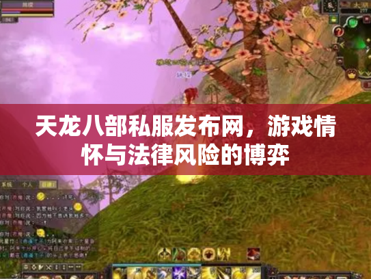 天龙八部私服发布网，游戏情怀与法律风险的博弈