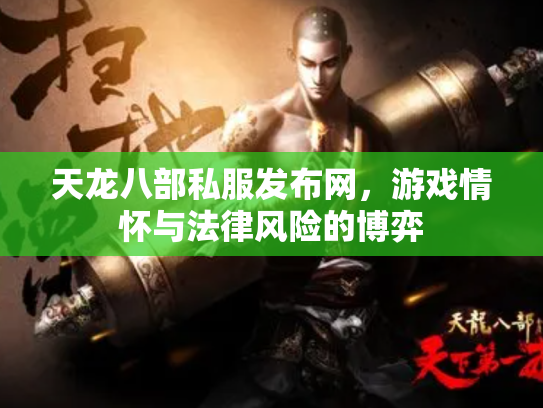 天龙八部私服发布网，游戏情怀与法律风险的博弈