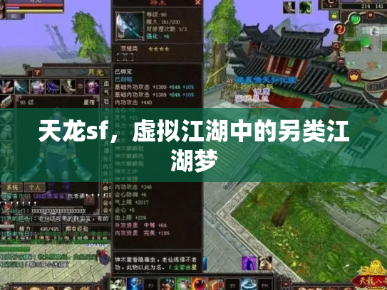 天龙sf，虚拟江湖中的另类江湖梦
