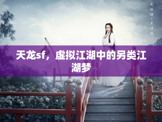 天龙sf,虚拟江湖中的另类江湖梦 天龙sf,虚拟江湖中的另类江湖梦