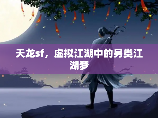 天龙sf，虚拟江湖中的另类江湖梦