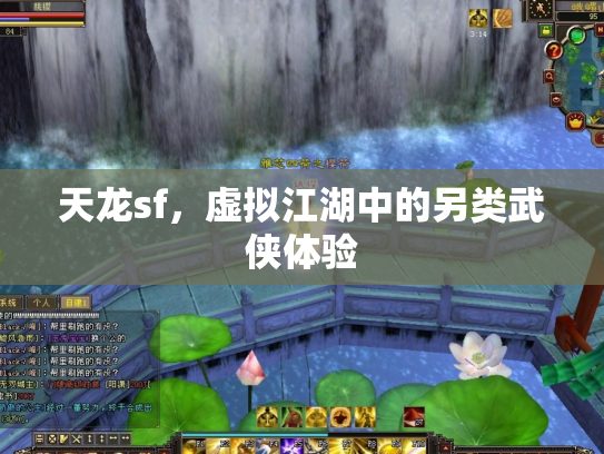 天龙sf，虚拟江湖中的另类武侠体验