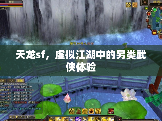 天龙sf，虚拟江湖中的另类武侠体验