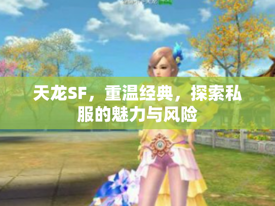 天龙SF，重温经典，探索私服的魅力与风险