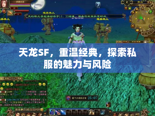 天龙SF，重温经典，探索私服的魅力与风险