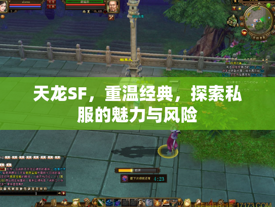 天龙SF，重温经典，探索私服的魅力与风险