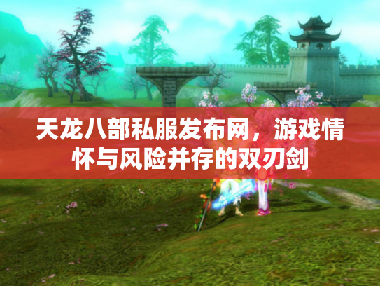 天龙八部私服发布网，游戏情怀与风险并存的双刃剑