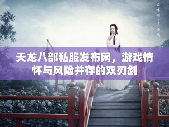 天龙八部私服发布网，游戏情怀与风险并存的双刃剑