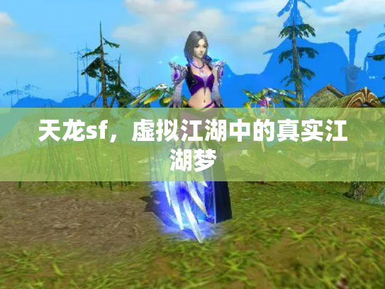 天龙sf，虚拟江湖中的真实江湖梦
