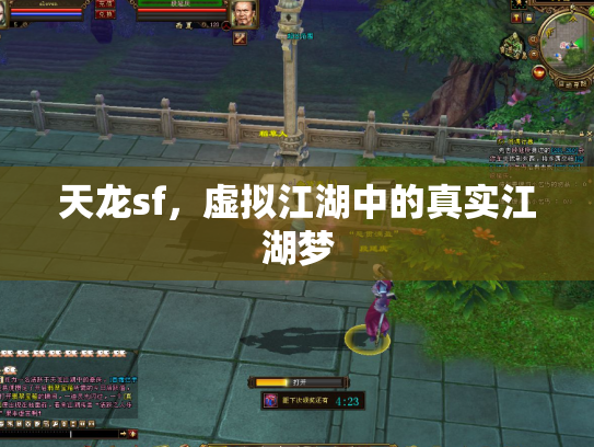 天龙sf，虚拟江湖中的真实江湖梦