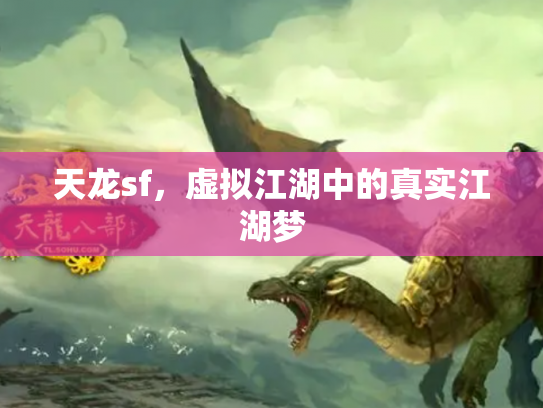 天龙sf，虚拟江湖中的真实江湖梦