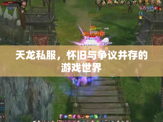 天龙私服，怀旧与争议并存的游戏世界