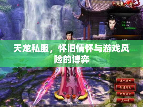 天龙私服，怀旧情怀与游戏风险的博弈