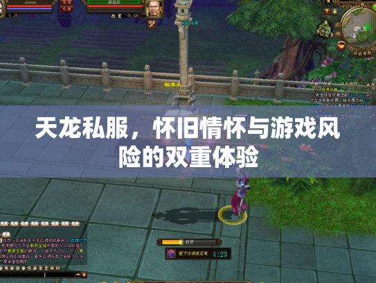天龙私服，怀旧情怀与游戏风险的双重体验