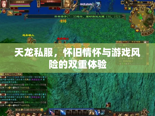 天龙私服，怀旧情怀与游戏风险的双重体验