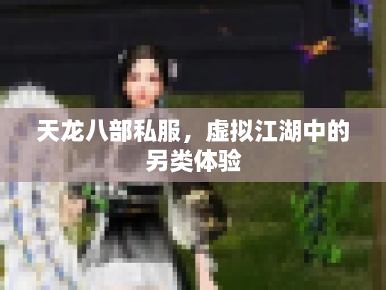 天龙八部私服，虚拟江湖中的另类体验