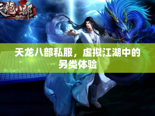 天龙八部私服，虚拟江湖中的另类体验