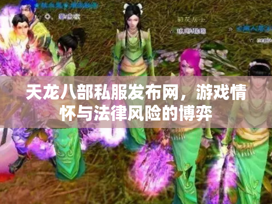 天龙八部私服发布网，游戏情怀与法律风险的博弈