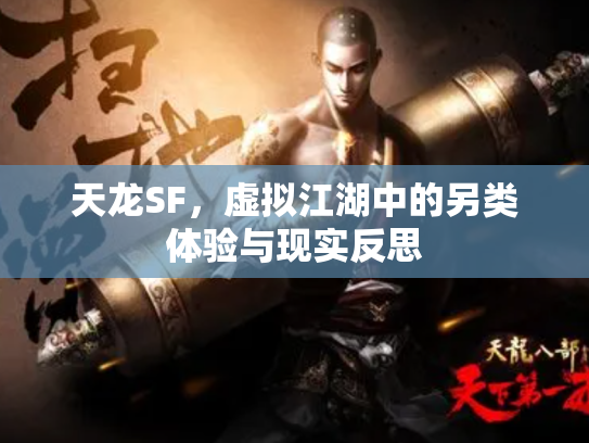 天龙SF，虚拟江湖中的另类体验与现实反思